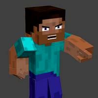 Steve Rig V2.0