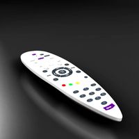 Remote control 3D Model
