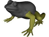 Frog