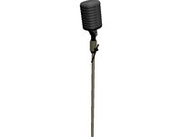 Microphone
