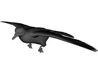 Dove 3D CAD Model