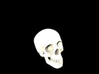 Skully
