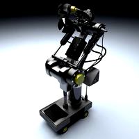 the dummy (rig)