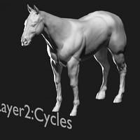 Horse NormalMap