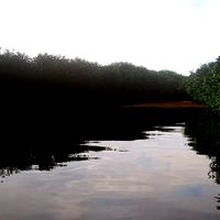 Muddy River