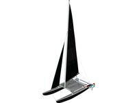 Hobie 16 Racing Catamaran with Male Sailor