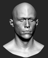 Male Head Base Mesh3d model