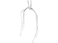 Veins and Arteries Upper