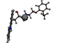 Protein Molecule