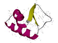 Protein Molecule