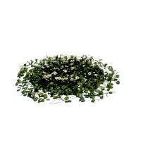 simple grass large 009 am126