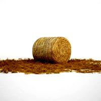 sheaf of hay 46 am115