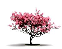 Plant 22 AM04 C4D