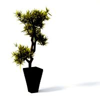 Plant 40 AM24