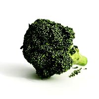 broccoli 32 am130