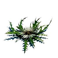 Classic furniture 12 AM33