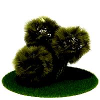 CASAMANIA KANT 02 AM72