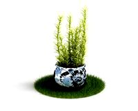 Plant 57 AM04 C4D