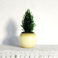 plant 02 am141