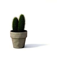 Plant 01 AM24