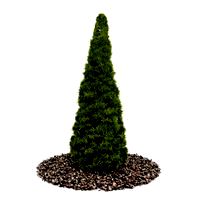 Plant 39 AM52 C4D