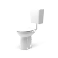 toilet bowl 100 am6