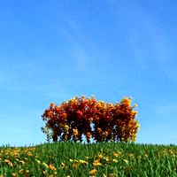 plant 055 am100
