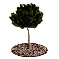 Plant 40 AM52