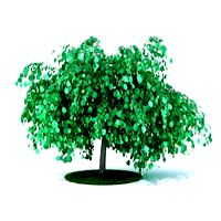 plant 23 am105