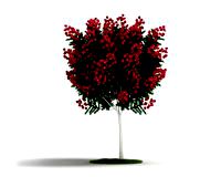 Plant 06 AM04 C4D