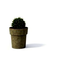 Plant 02 AM24