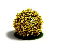Plant 30 AM04 C4D