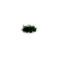 simple grass small 106 am124