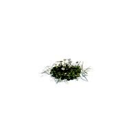 simple grass small 007 am126