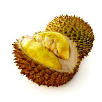 durian 19 am130