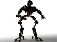 Potentilla anserina 062 am124