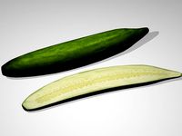 Cucumber