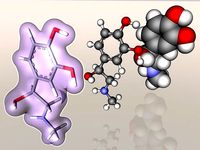 Adrenaline molecule