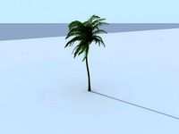 Palm Vray