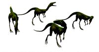 Compsognathus