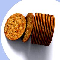 Salty cracker biscuit