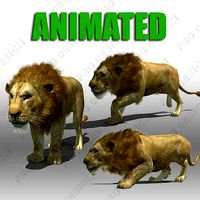 Lion Animated