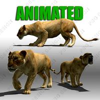 Lioness Animated
