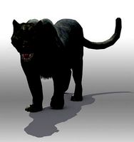 Black Panther