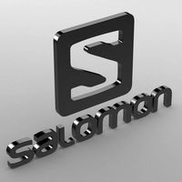 salomon logo