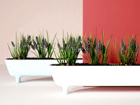 Long Pot