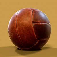Dark Leather Ball Weight Lifting Training