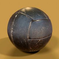 Dark Leather Ball Fitness Weight Lifting