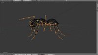 Ant 3D Model