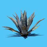 Robert Plant-3D Scan